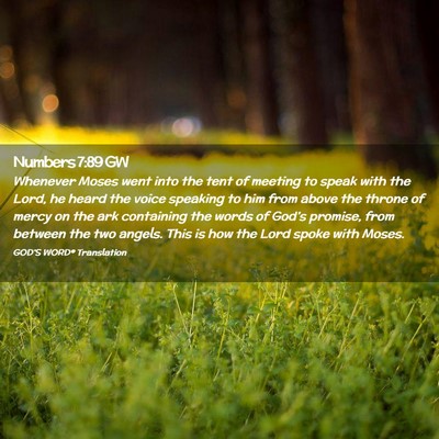 Picture 02 - Numbers 7:89 GW - Whenever Moses went into the tent of meeting to - Bible Verse Picture