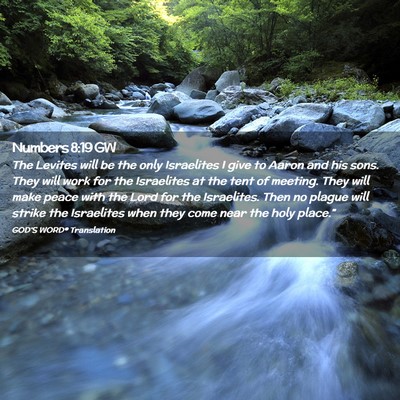 Picture 02 - Numbers 8:19 GW - The Levites will be the only Israelites I give to - Bible Verse Picture