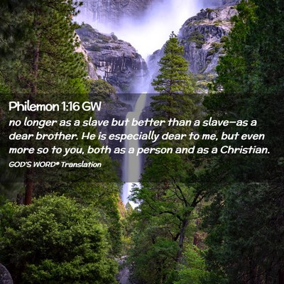 Picture 02 - Philemon 1:16 GW - no longer as a slave but better than a slave—as - Bible Verse Picture