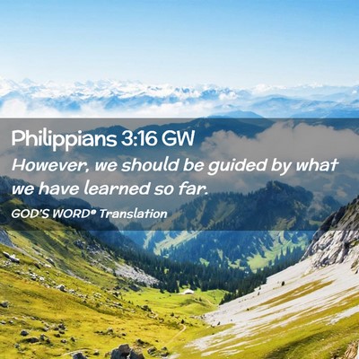 Picture 02 - Philippians 3:16 GW - However, we should be guided by what we have - Bible Verse Picture