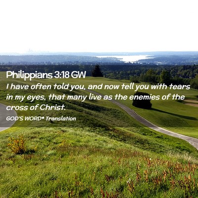 Picture 02 - Philippians 3:18 GW - I have often told you, and now tell you with - Bible Verse Picture