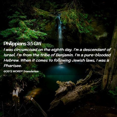 Picture 02 - Philippians 3:5 GW - I was circumcised on the eighth day. I’m a - Bible Verse Picture