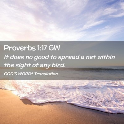 Picture 02 - Proverbs 1:17 GW - It does no good to spread a net within the sight - Bible Verse Picture
