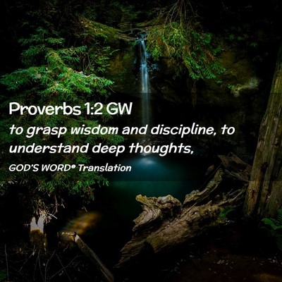 Picture 02 - Proverbs 1:2 GW - to grasp wisdom and discipline, to understand - Bible Verse Picture