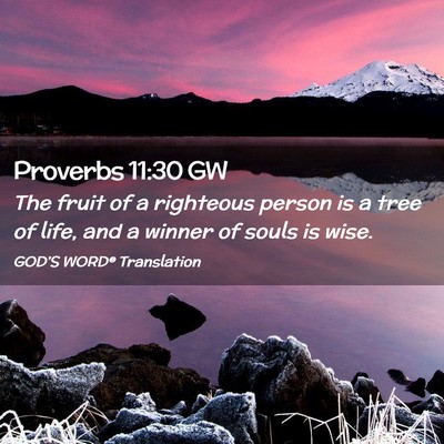 Picture 02 - Proverbs 11:30 GW - The fruit of a righteous person is a tree of - Bible Verse Picture