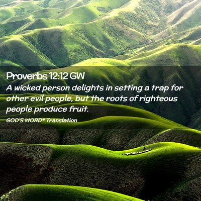 Picture 02 - Proverbs 12:12 GW - A wicked person delights in setting a trap for - Bible Verse Picture