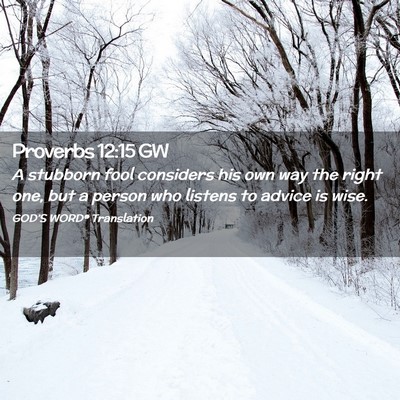 Picture 02 - Proverbs 12:15 GW - A stubborn fool considers his own way the right - Bible Verse Picture