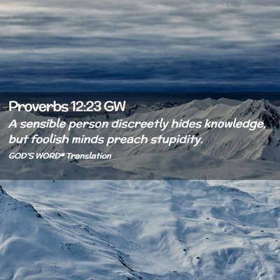 Picture 02 - Proverbs 12:23 GW - A sensible person discreetly hides knowledge, but - Bible Verse Picture