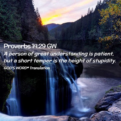Picture 02 - Proverbs 14:29 GW - A person of great understanding is patient, but a - Bible Verse Picture