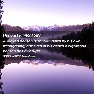 Picture 02 - Proverbs 14:32 GW - A wicked person is thrown down by his own - Bible Verse Picture