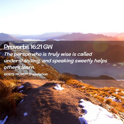 Picture 02 - Proverbs 16:21 GW - The person who is truly wise is called - Bible Verse Picture