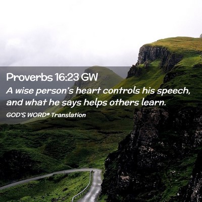 Picture 02 - Proverbs 16:23 GW - A wise person’s heart controls his speech, and - Bible Verse Picture
