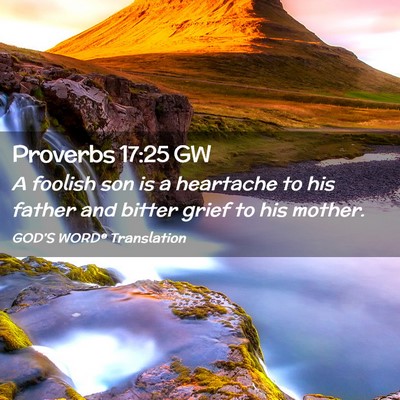 Picture 02 - Proverbs 17:25 GW - A foolish son is a heartache to his father and - Bible Verse Picture