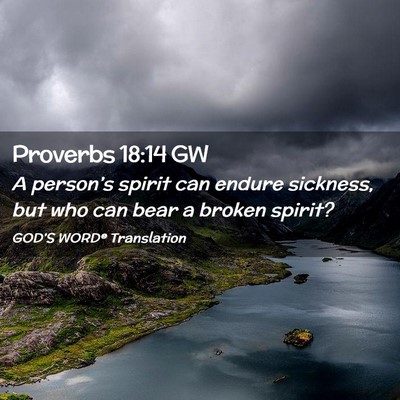 Picture 02 - Proverbs 18:14 GW - A person’s spirit can endure sickness, but who - Bible Verse Picture