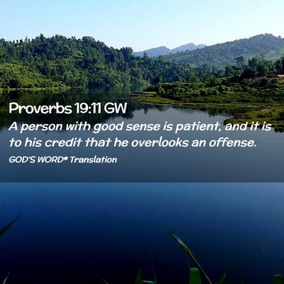 Picture 02 - Proverbs 19:11 GW - A person with good sense is patient, and it is to - Bible Verse Picture