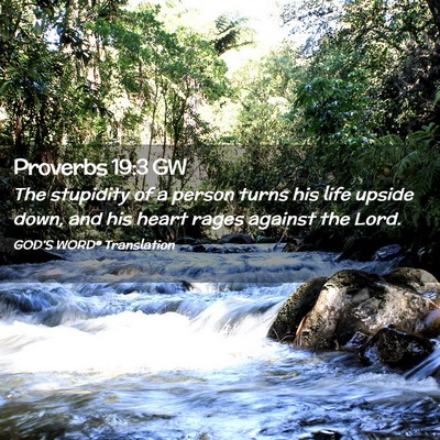 Picture 02 - Proverbs 19:3 GW - The stupidity of a person turns his life upside - Bible Verse Picture