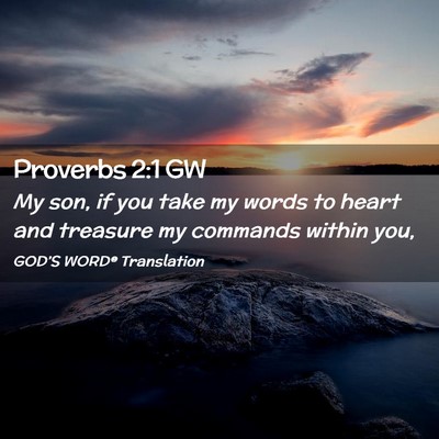 Picture 02 - Proverbs 2:1 GW - My son, if you take my words to heart and - Bible Verse Picture