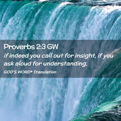 Picture 02 - Proverbs 2:3 GW - if indeed you call out for insight, if you ask - Bible Verse Picture