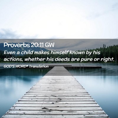 Picture 02 - Proverbs 20:11 GW - Even a child makes himself known by his actions, - Bible Verse Picture