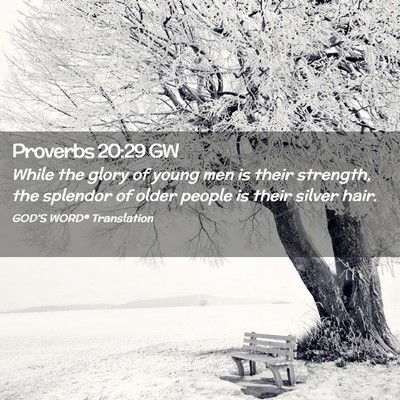 Picture 02 - Proverbs 20:29 GW - While the glory of young men is their strength, - Bible Verse Picture