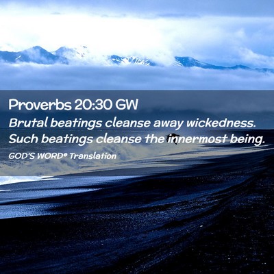 Picture 02 - Proverbs 20:30 GW - Brutal beatings cleanse away wickedness. Such - Bible Verse Picture