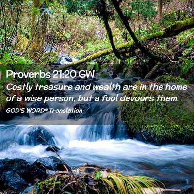 Picture 02 - Proverbs 21:20 GW - Costly treasure and wealth are in the home of a - Bible Verse Picture