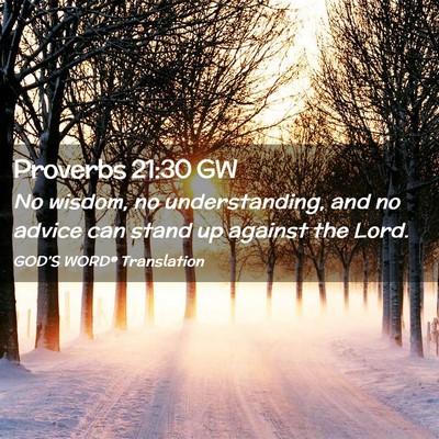 Picture 02 - Proverbs 21:30 GW - No wisdom, no understanding, and no advice can - Bible Verse Picture