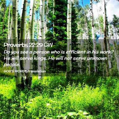 Picture 02 - Proverbs 22:29 GW - Do you see a person who is efficient in his work? - Bible Verse Picture