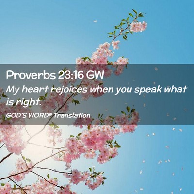 Picture 02 - Proverbs 23:16 GW - My heart rejoices when you speak what is - Bible Verse Picture