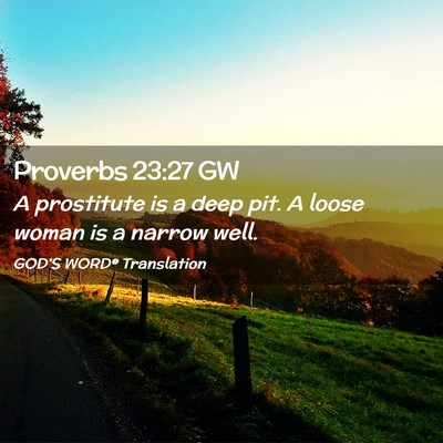 Picture 02 - Proverbs 23:27 GW - A prostitute is a deep pit. A loose woman is a - Bible Verse Picture