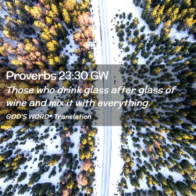 Picture 02 - Proverbs 23:30 GW - Those who drink glass after glass of wine and mix - Bible Verse Picture