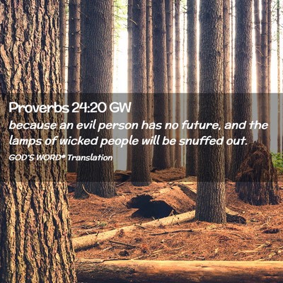 Picture 02 - Proverbs 24:20 GW - because an evil person has no future, and the - Bible Verse Picture