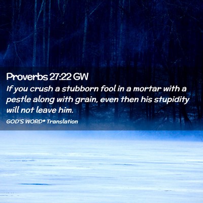 Picture 02 - Proverbs 27:22 GW - If you crush a stubborn fool in a mortar with a - Bible Verse Picture