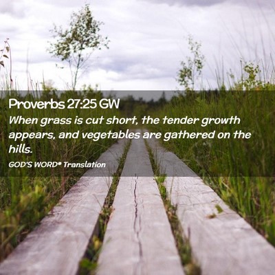 Picture 02 - Proverbs 27:25 GW - When grass is cut short, the tender growth - Bible Verse Picture