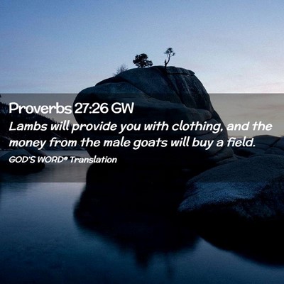 Picture 02 - Proverbs 27:26 GW - Lambs will provide you with clothing, and the - Bible Verse Picture