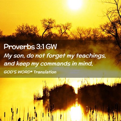 Picture 02 - Proverbs 3:1 GW - My son, do not forget my teachings, and keep my - Bible Verse Picture
