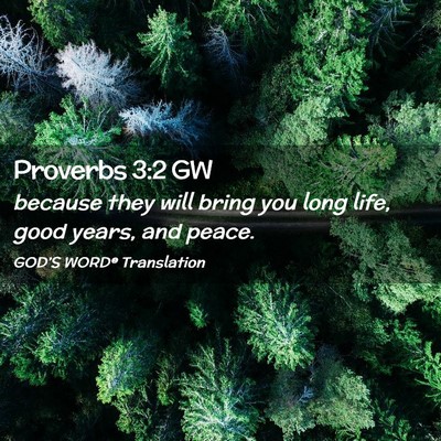 Picture 02 - Proverbs 3:2 GW - because they will bring you long life, good - Bible Verse Picture