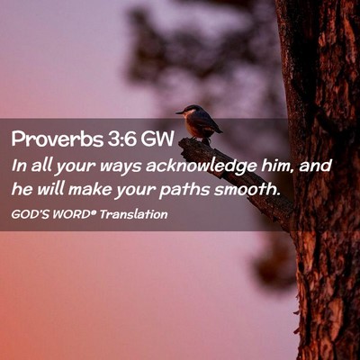 Picture 02 - Proverbs 3:6 GW - In all your ways acknowledge him, and he will - Bible Verse Picture