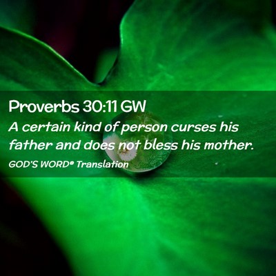 Picture 02 - Proverbs 30:11 GW - A certain kind of person curses his father and - Bible Verse Picture