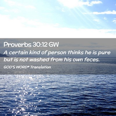 Picture 02 - Proverbs 30:12 GW - A certain kind of person thinks he is pure but is - Bible Verse Picture