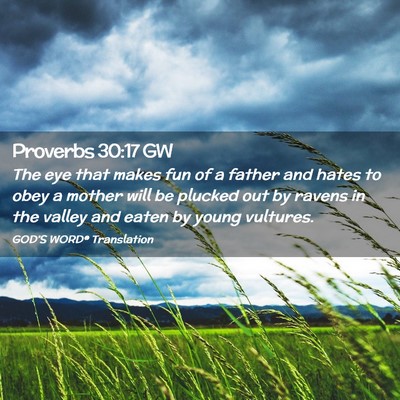 Picture 02 - Proverbs 30:17 GW - The eye that makes fun of a father and hates to - Bible Verse Picture