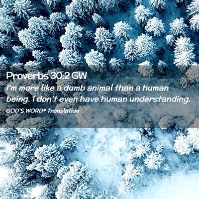 Picture 02 - Proverbs 30:2 GW - I’m more like a dumb animal than a human being. - Bible Verse Picture
