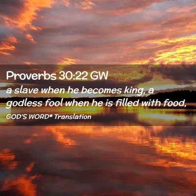 Picture 02 - Proverbs 30:22 GW - a slave when he becomes king, a godless fool when - Bible Verse Picture