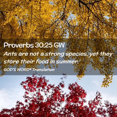 Picture 02 - Proverbs 30:25 GW - Ants are not a strong species, yet they store - Bible Verse Picture