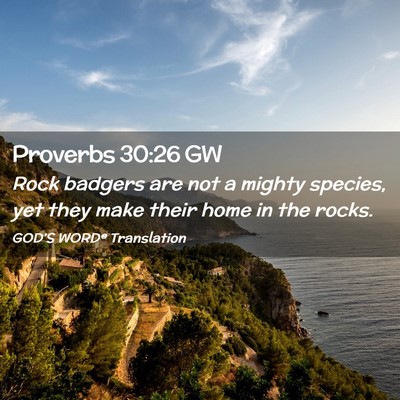 Picture 02 - Proverbs 30:26 GW - Rock badgers are not a mighty species, yet they - Bible Verse Picture