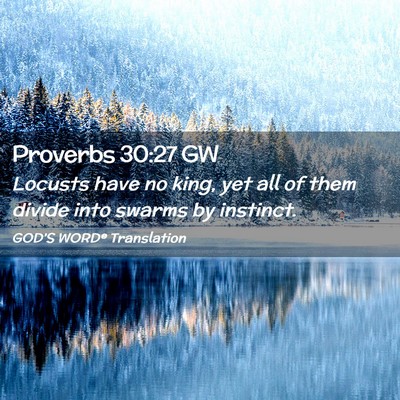 Picture 02 - Proverbs 30:27 GW - Locusts have no king, yet all of them divide into - Bible Verse Picture