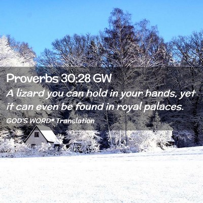 Picture 02 - Proverbs 30:28 GW - A lizard you can hold in your hands, yet it can - Bible Verse Picture