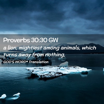 Picture 02 - Proverbs 30:30 GW - a lion, mightiest among animals, which turns away - Bible Verse Picture