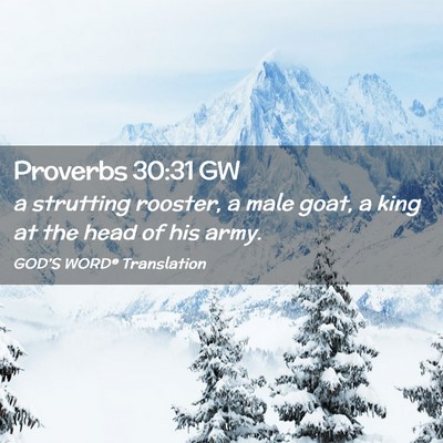 Picture 02 - Proverbs 30:31 GW - a strutting rooster, a male goat, a king at the - Bible Verse Picture