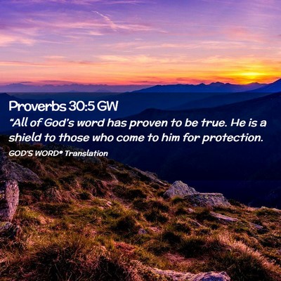 Picture 02 - Proverbs 30:5 GW - “All of God’s word has proven to be true. He - Bible Verse Picture